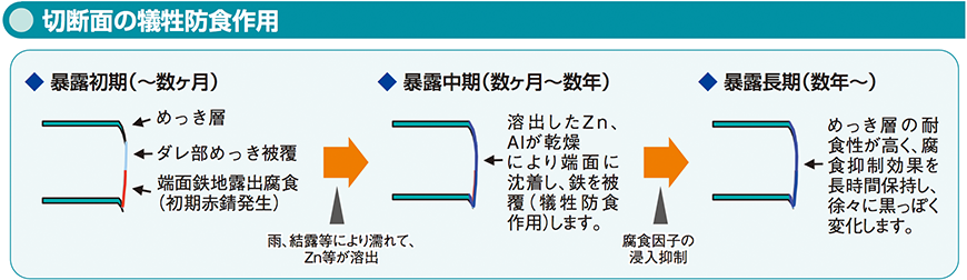 切断面の犠牲防食作用